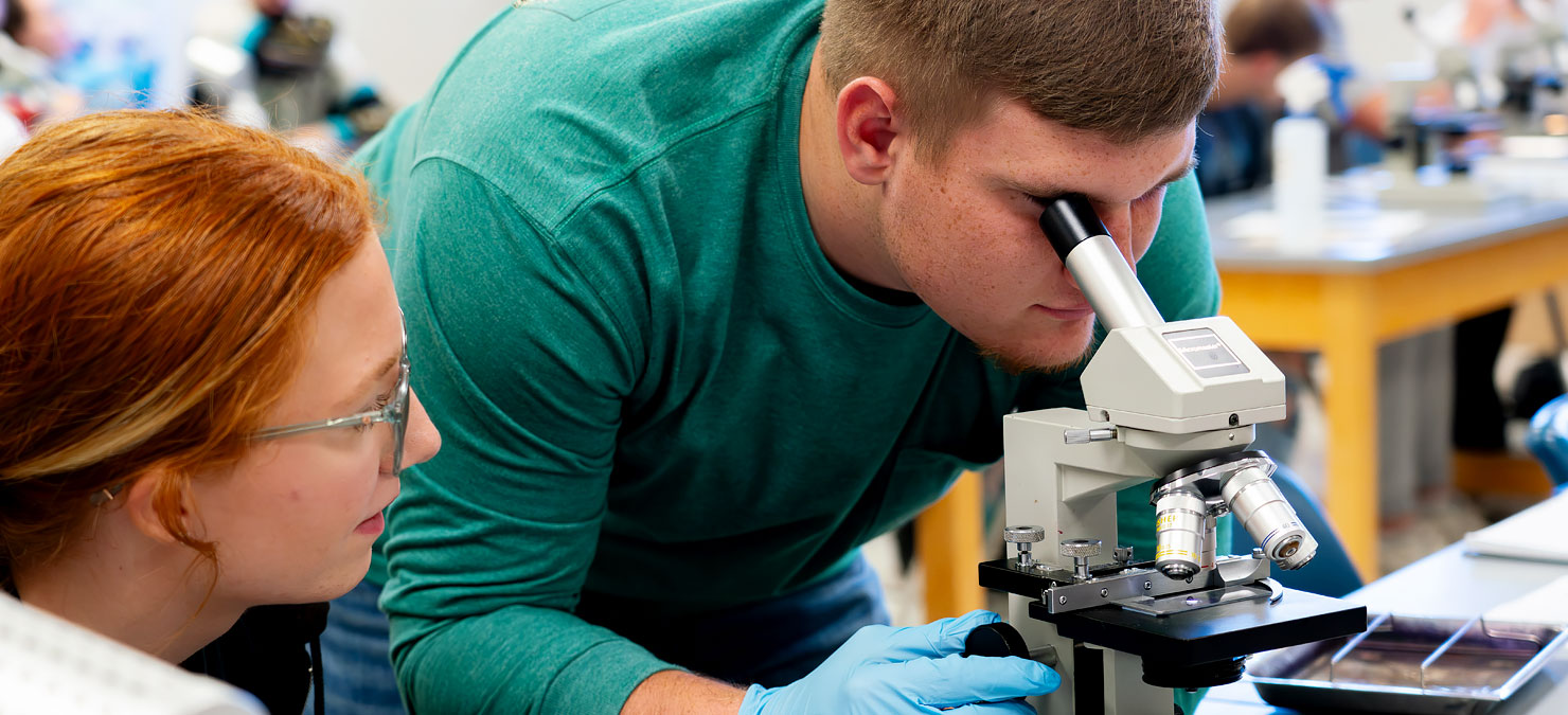 Students attending Walters State Community College. Students attending Walters State Community College.